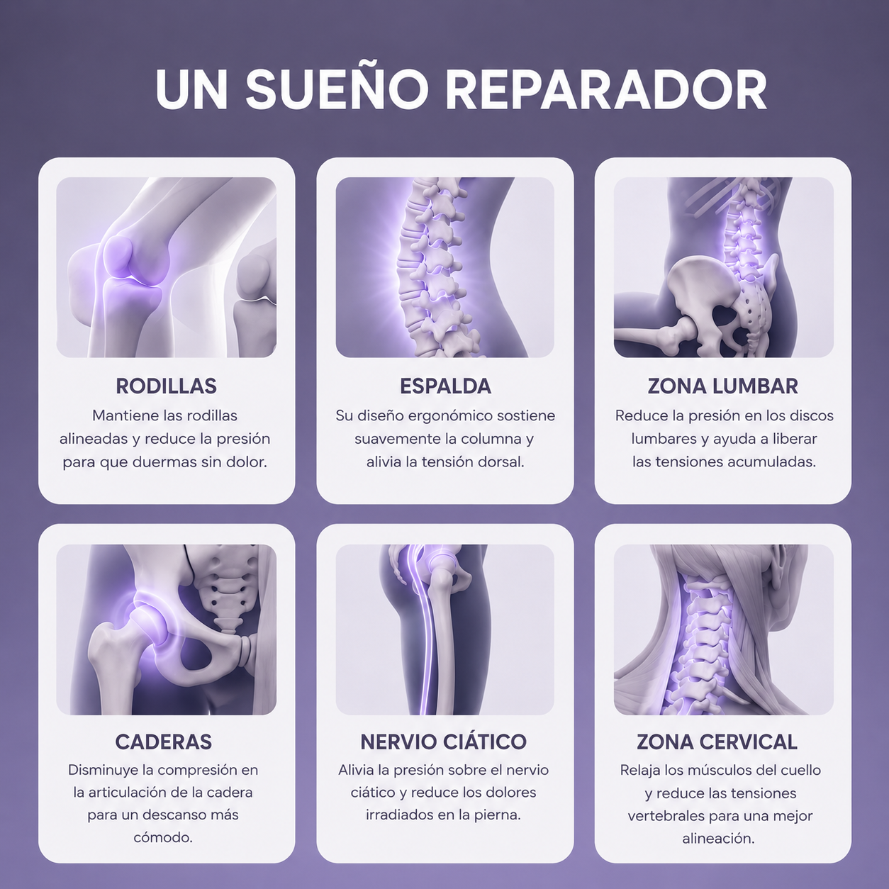 Cojín para Alivio Lumbar - NoctisHip™