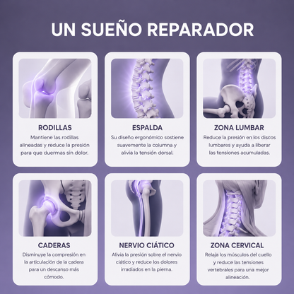 Cojín para Alivio Lumbar - NoctisHip™